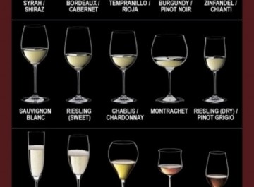 Ποιο είναι το κατάλληλο ποτήρι για κάθε είδος κρασιού